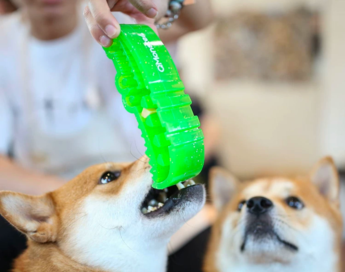 Qmonster Brinquedo para cachorro - Crocodilos de cristal dispensador - Grande