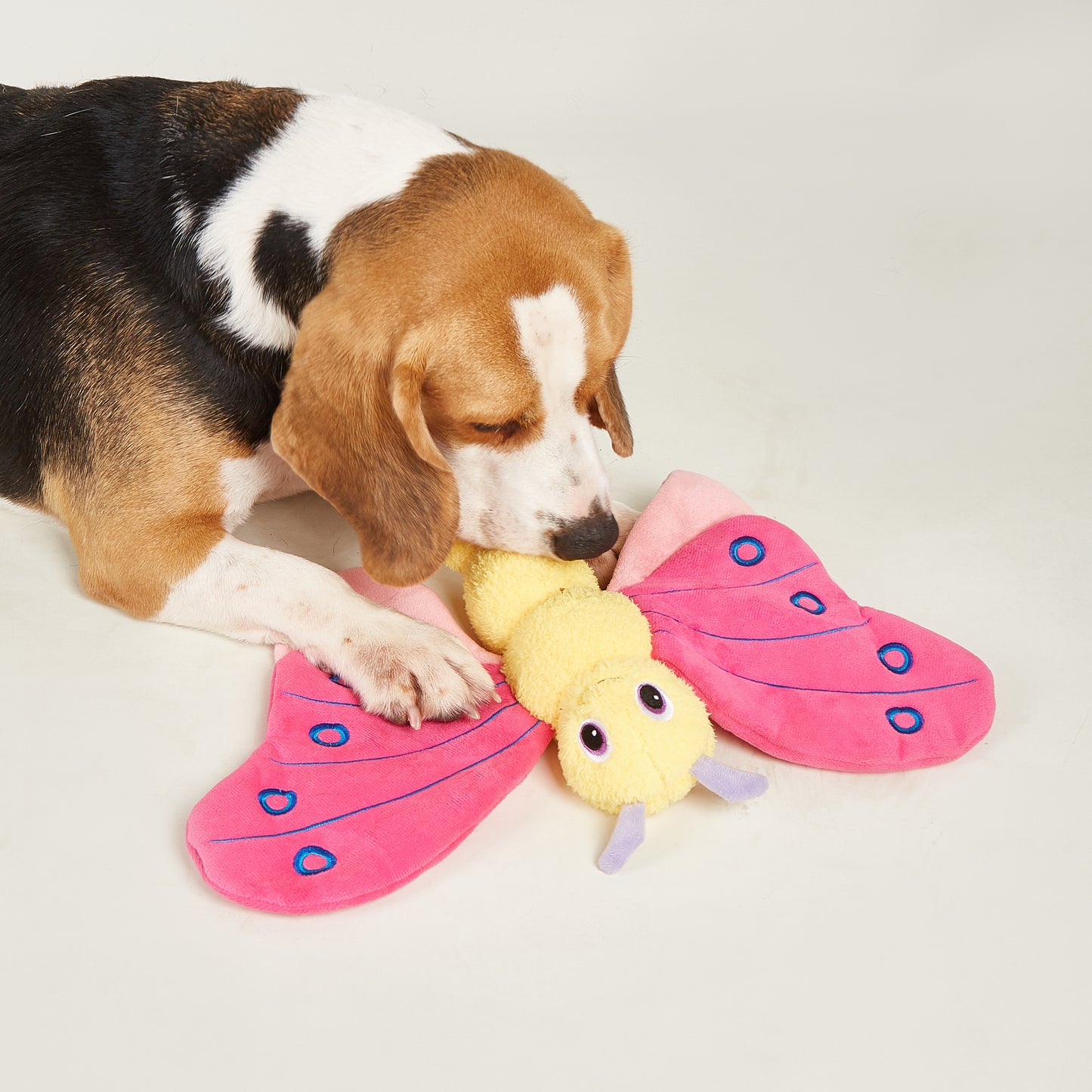 FOFOS Brinquedos para Cães - Floresta em Sonho Borboleta Jumbo - Rosa