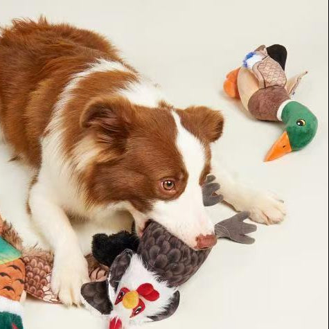 FOFOS Brinquedos para Cães - Reino Selvagem - Pato