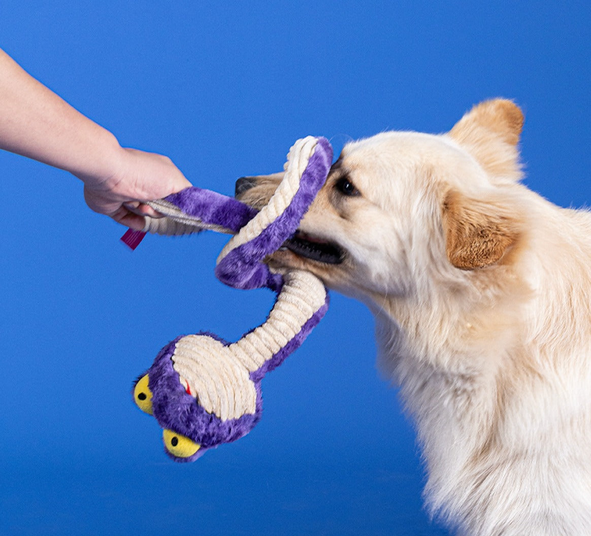 Qmonster Brinquedo para cachorros - Interativo Cobra de Mola 100cm