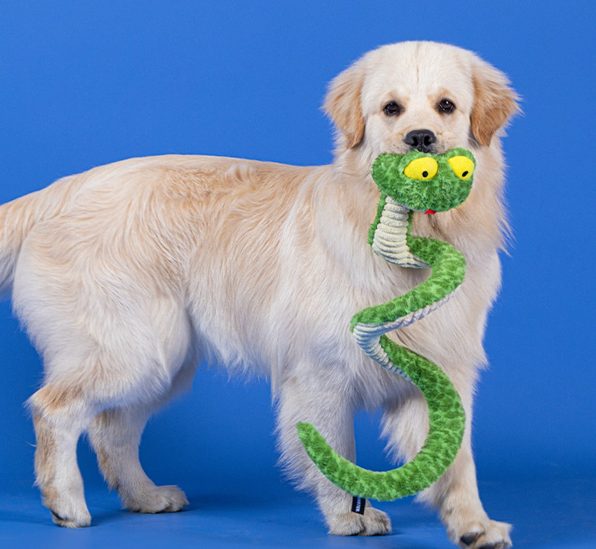 Qmonster Brinquedo para cachorros - Interativo Cobra de Mola 100cm