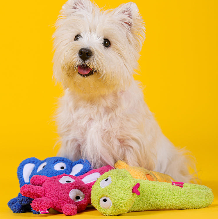 Qmonster Brinquedo para cachorro - Festa Peluda - Coelho