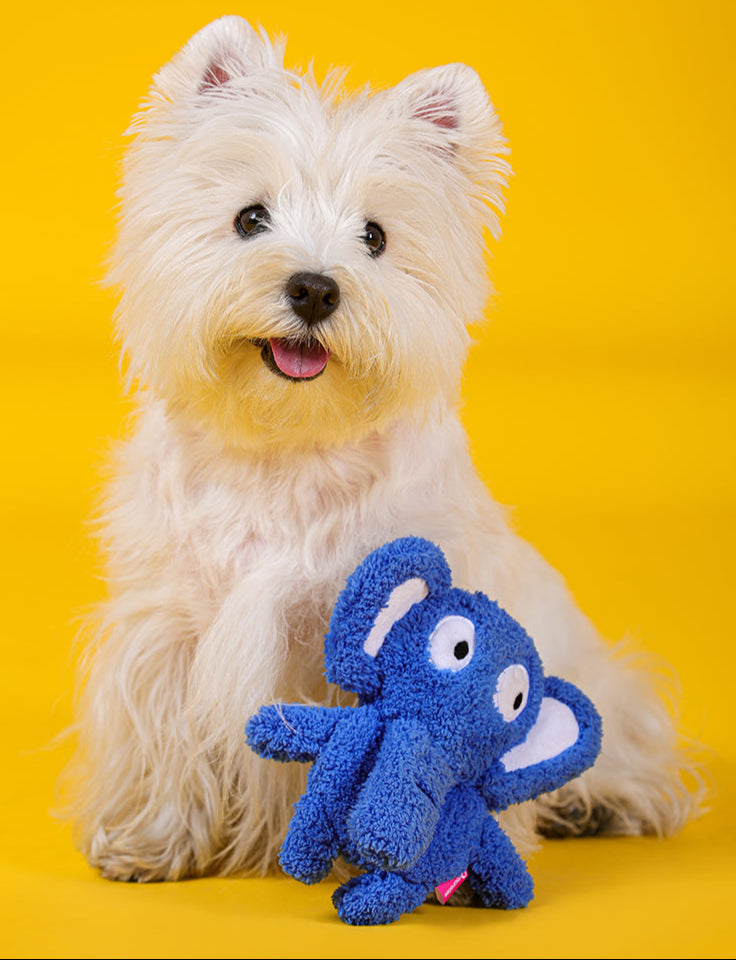 Qmonster Brinquedo para cachorro - Festa Peluda - Elefante