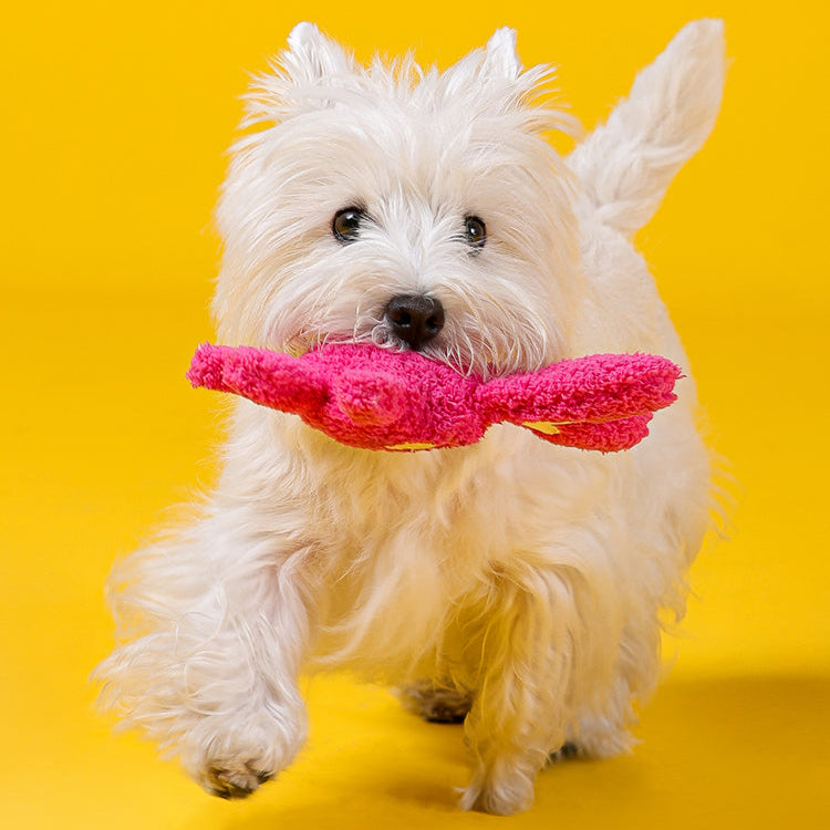 Qmonster Brinquedo para cachorro - Festa Peluda - Coelho