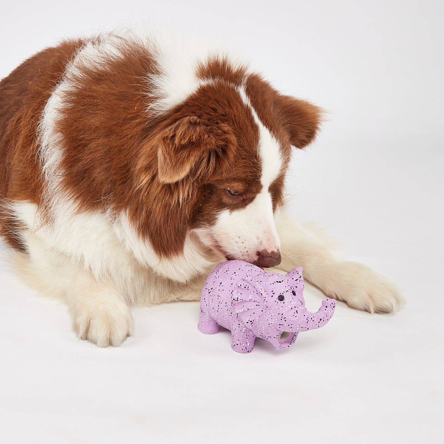 FOFOS Brinquedos para Cães - Vida Fazenda - Elefante