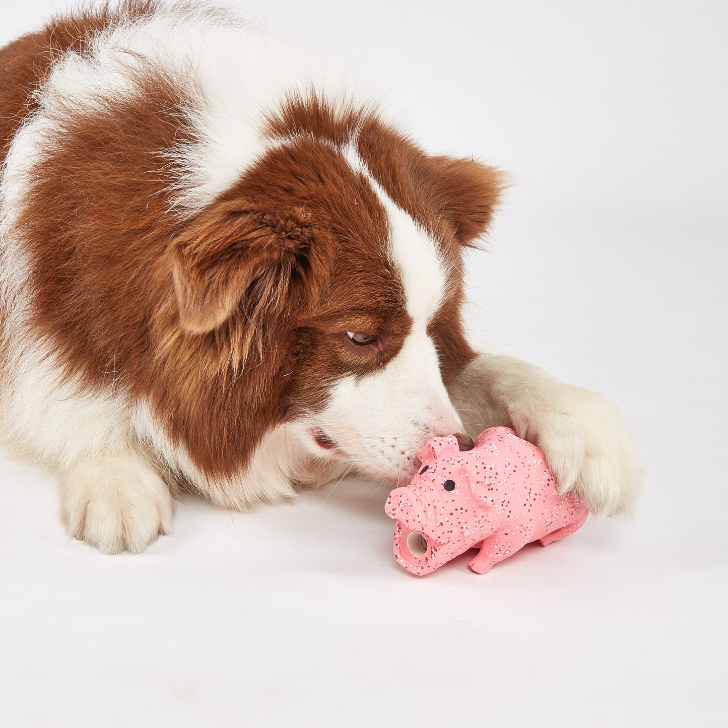 FOFOS Brinquedos para Cães - Vida Fazenda - Porco