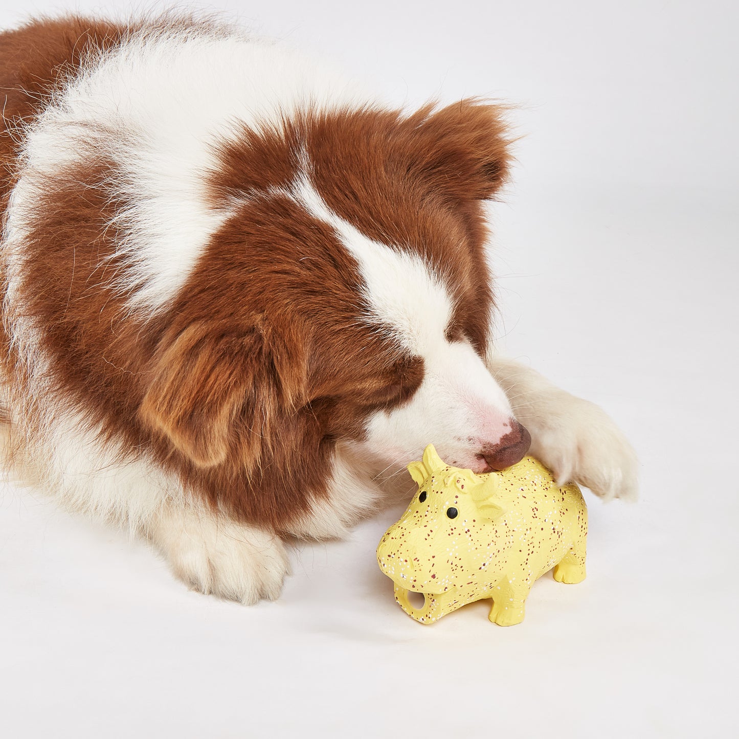 FOFOS Brinquedos para Cães - Vida Fazenda - Boi
