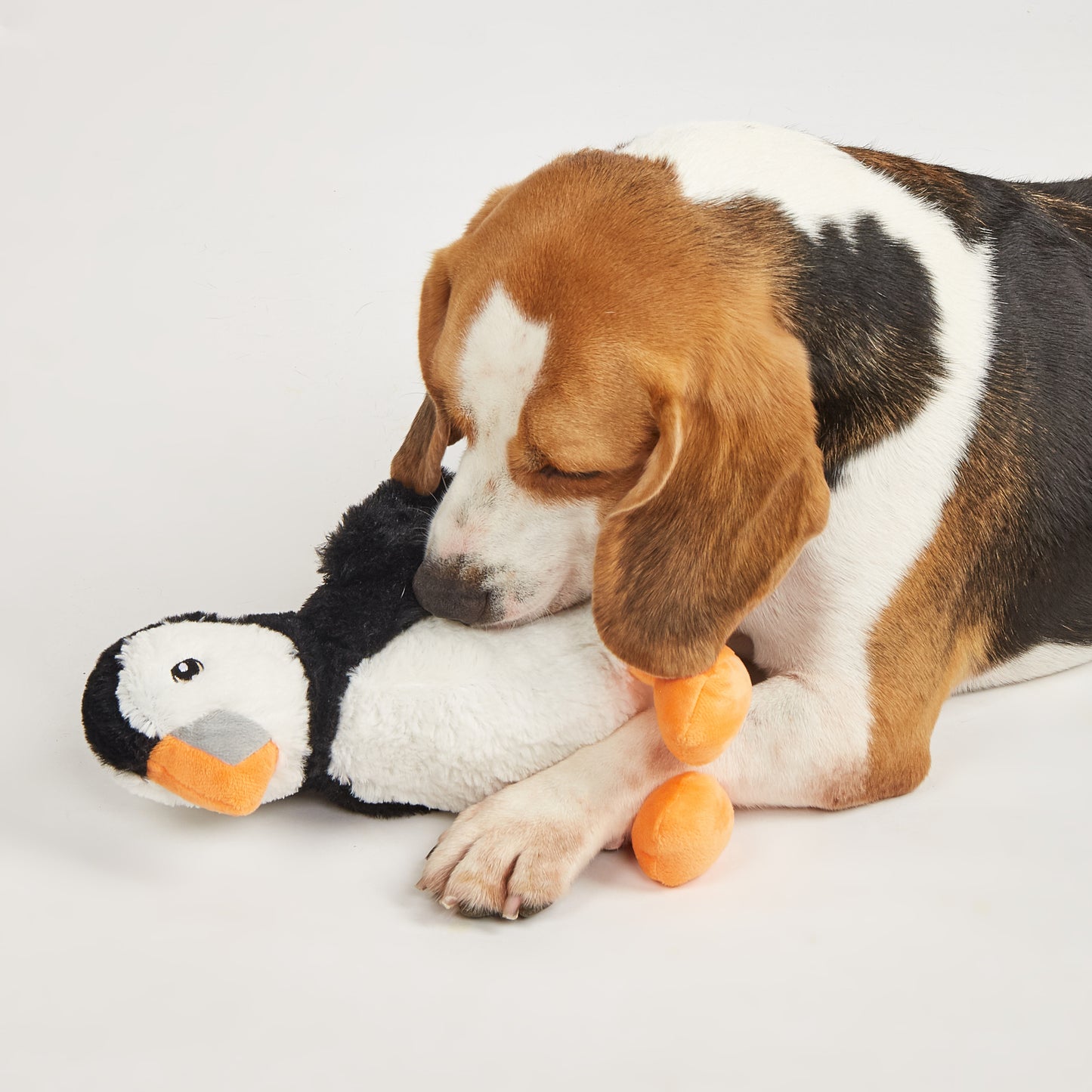 FOFOS Brinquedos para Cães - Reino Selvagem - Pinguim