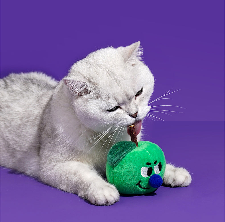 zeze Brinquedo para gatos - Pirulito de Matatbi com Catnip - Maçã Verde
