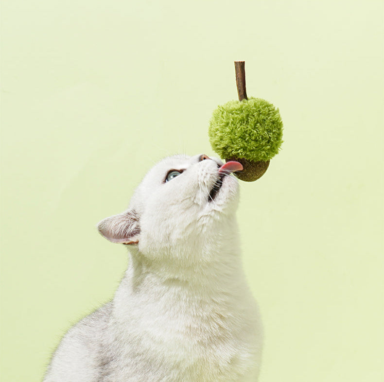 Brinquedo para gatos - Bola Catnip com Matatabi Acorn- zeze