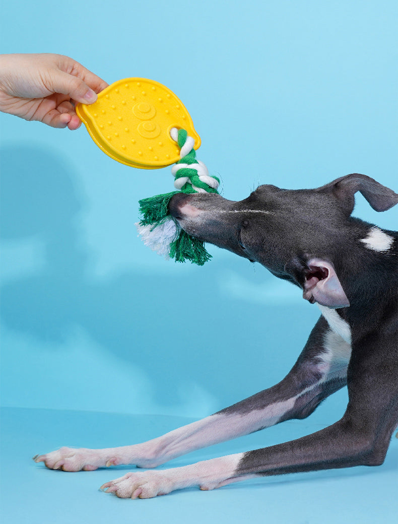 Brinquedo para cachorros Limão Siciliano - zeze