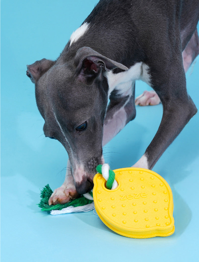 Brinquedo para cachorros Limão Siciliano - zeze
