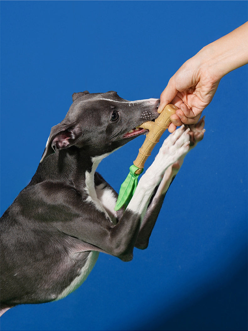 Brinquedo para cachorros Mordedor Bamboo - zeze
