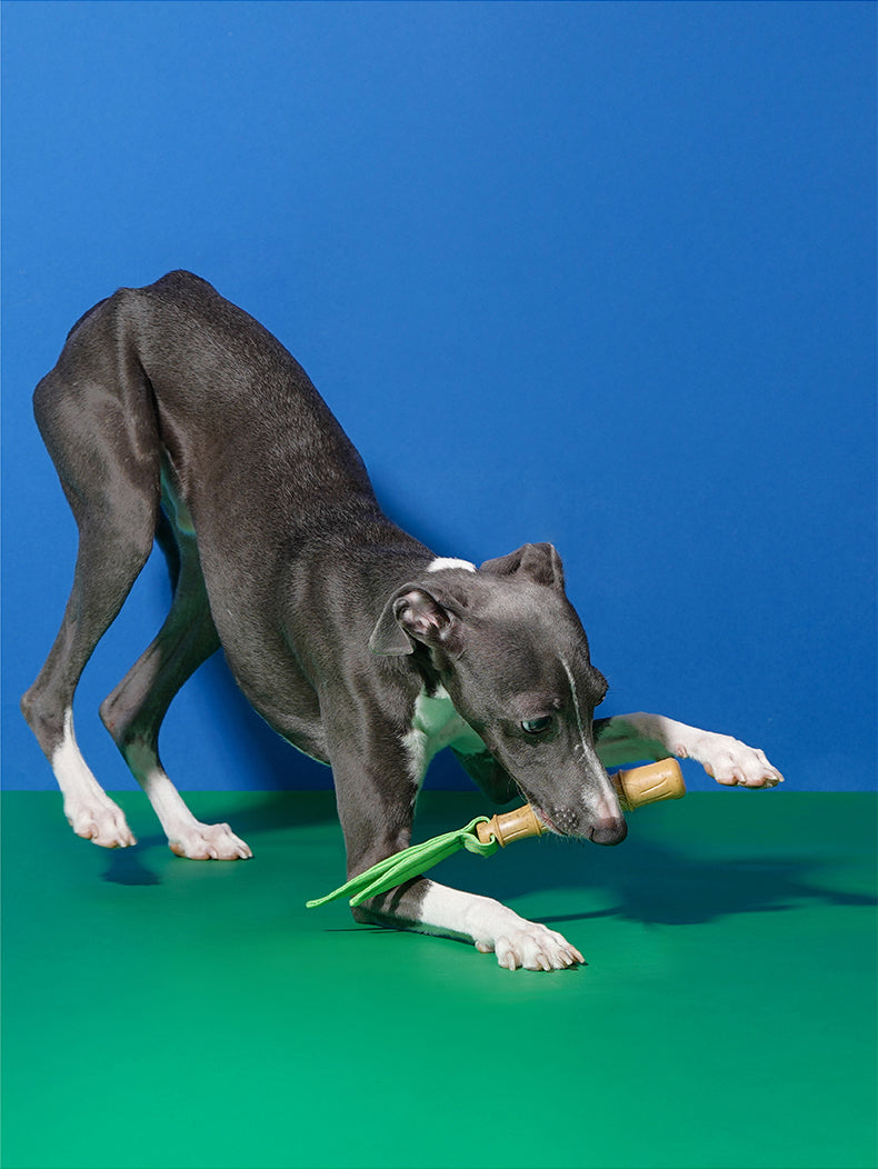 Brinquedo para cachorros Mordedor Bamboo - zeze