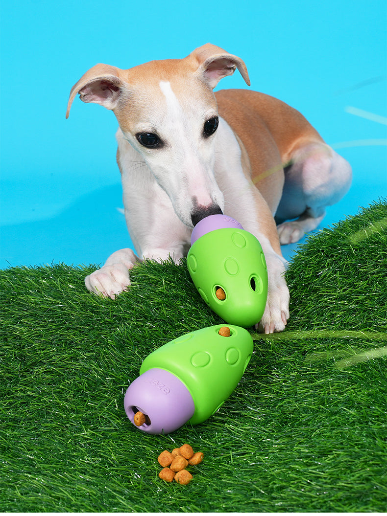 Brinquedo para cachorros Cogumelo Magrinho - zeze
