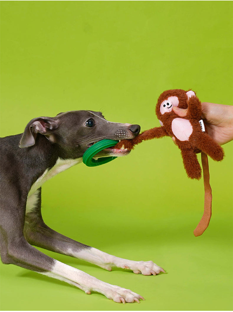 Brinquedo para cachorros Pegar a Lua Pelucia TPR - zeze