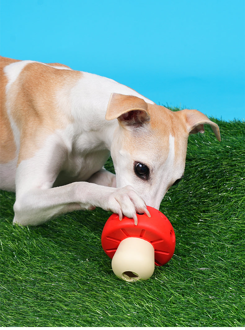 Brinquedo para cachorros Cogumelo Gordinho - zeze