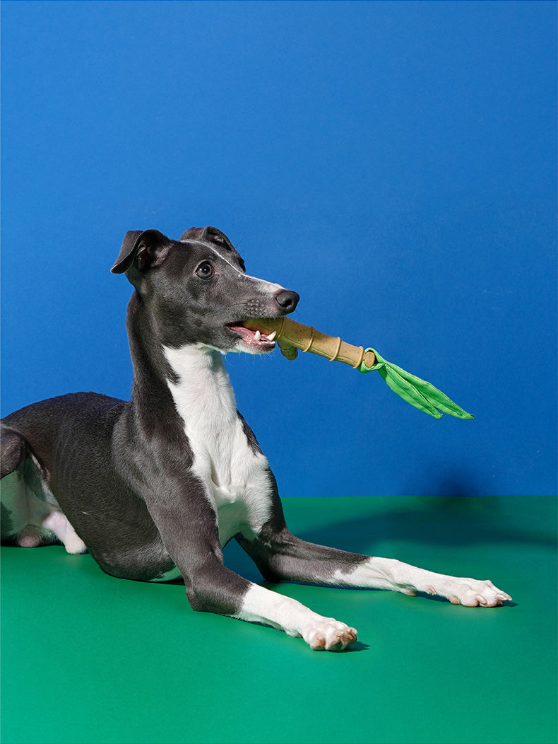Brinquedo para cachorros Mordedor Bamboo - zeze