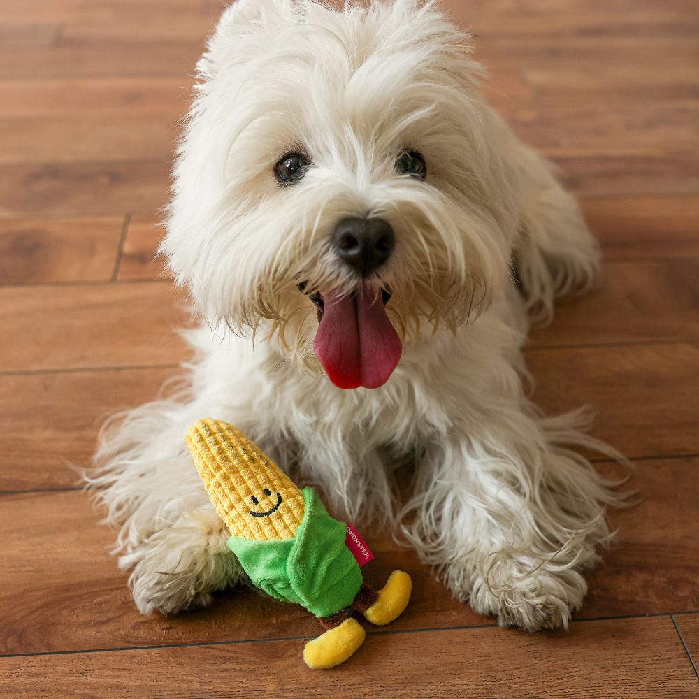 Brinquedo Puppy Interativo Escola dos Vegetais Milhozinho - Qmonster