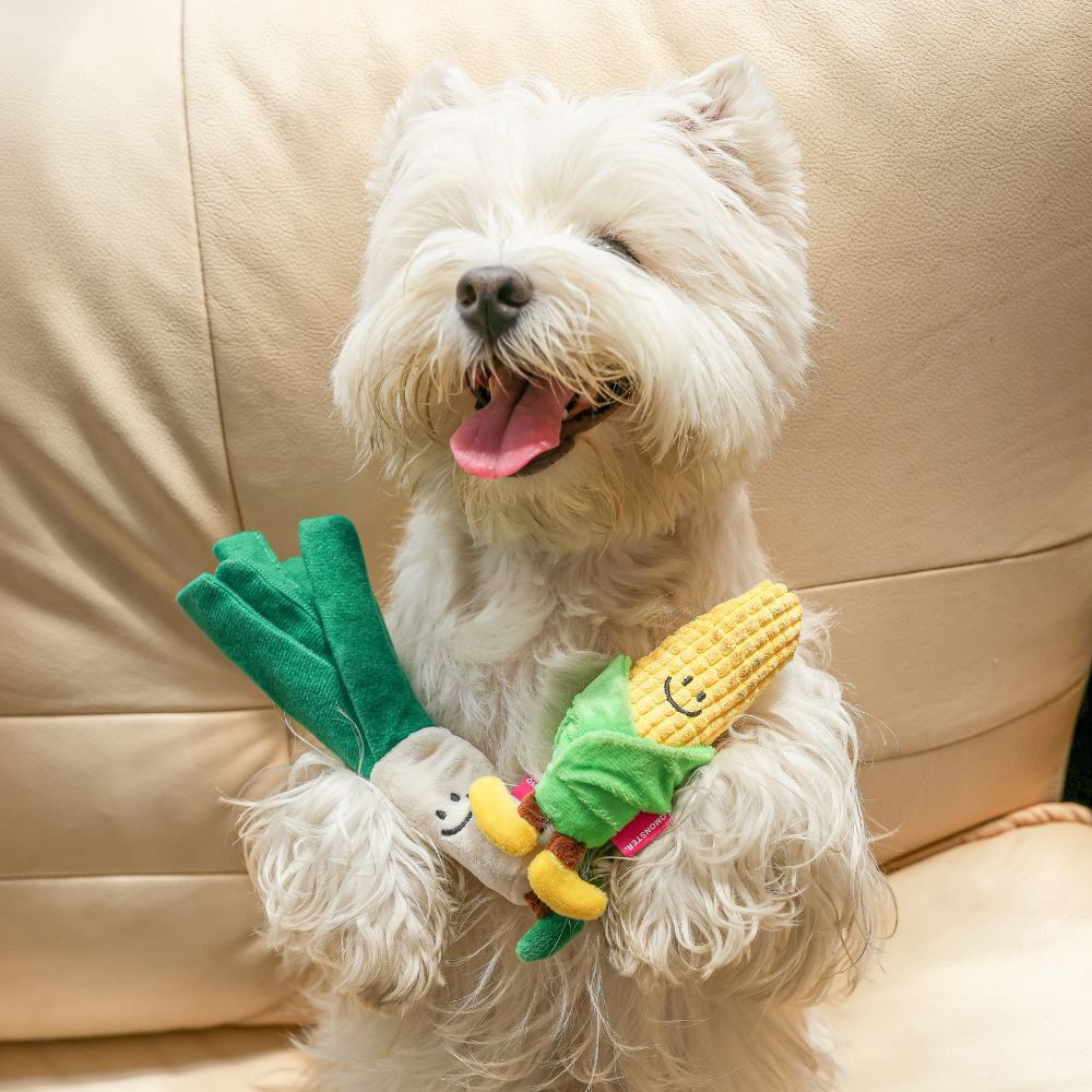 Brinquedo Puppy Interativo Escola dos Vegetais Milhozinho - Qmonster