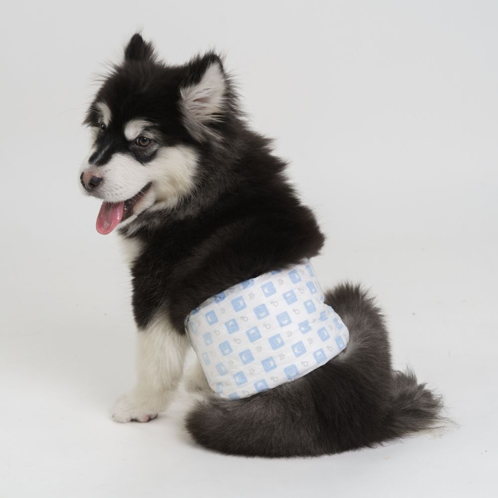 Fralda Higiênica Diapers para Cães Machos S 12Unidades- FOFOS