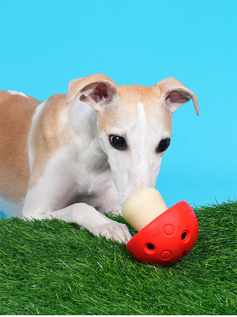 Brinquedo para cachorros Cogumelo Gordinho - zeze