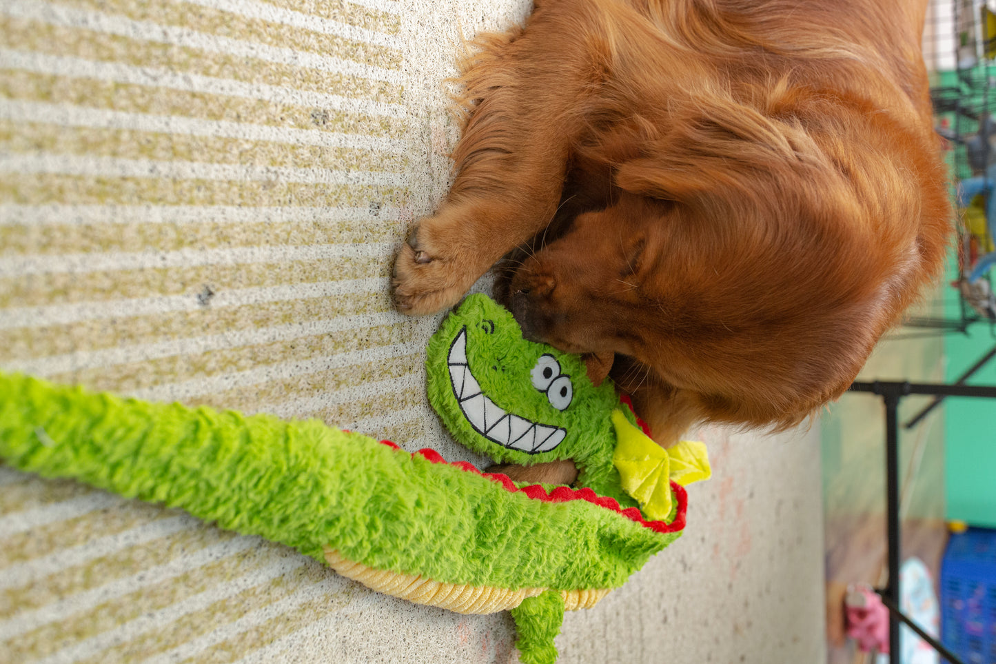 Qmonster Brinquedo para cachorro - Dragão Gigante - Verde Pequeno