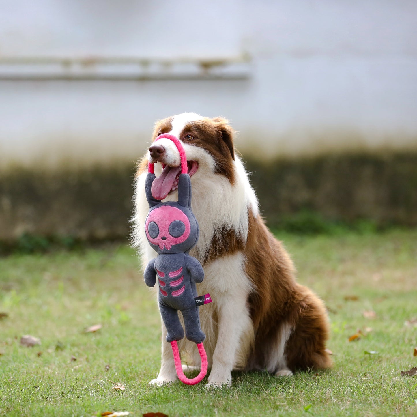 Qmonster Brinquedo para cachorro - Shock Brinquedo interativo Cabo de Guerra - Cinza