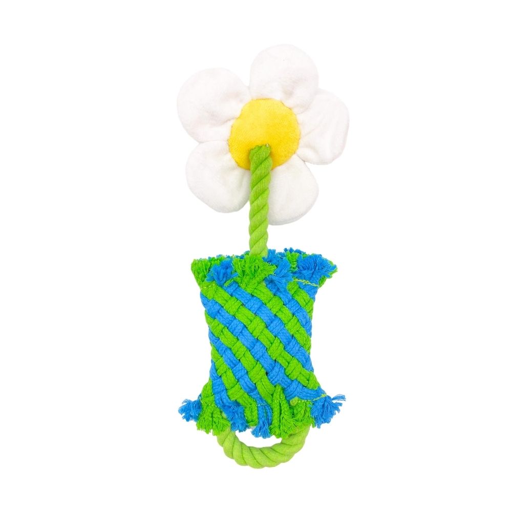 Brinquedos de Corda Plantas de Tecelagem - Flor