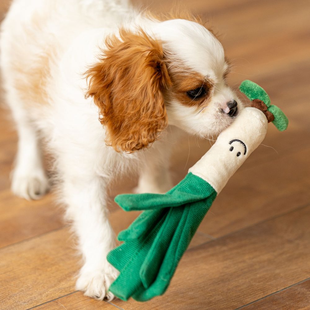 Brinquedo Puppy Interativo Escola dos Vegetais Cebolinha - Qmonster