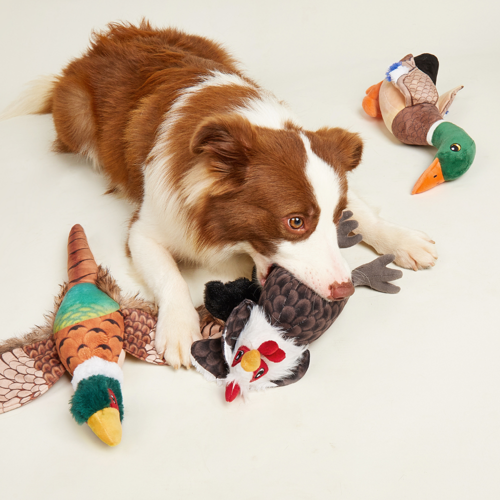 Brinquedo para Cães Pelúcia Reino Selvagem Galo - FOFOS