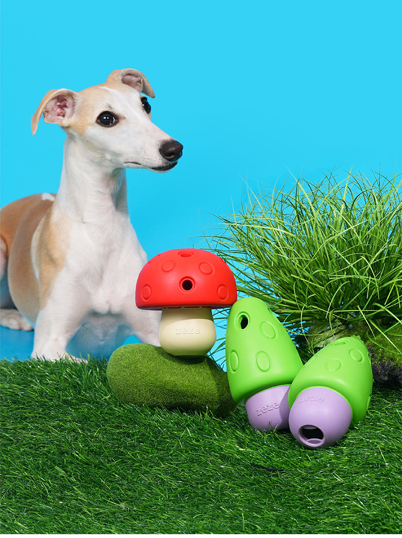 Brinquedo para cachorros Cogumelo Gordinho - zeze