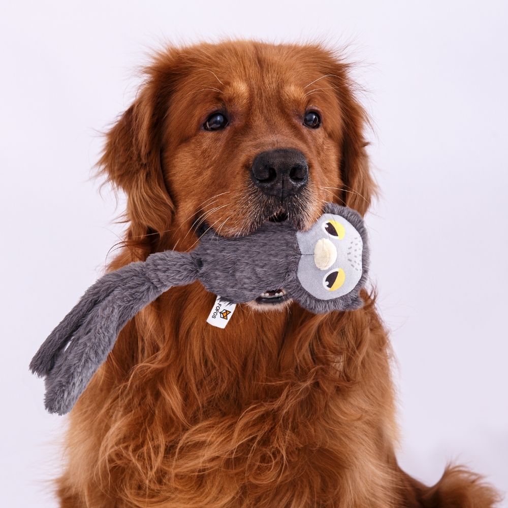 Brinquedo Pelúcia Animais de Corda Coruja - FOFOS