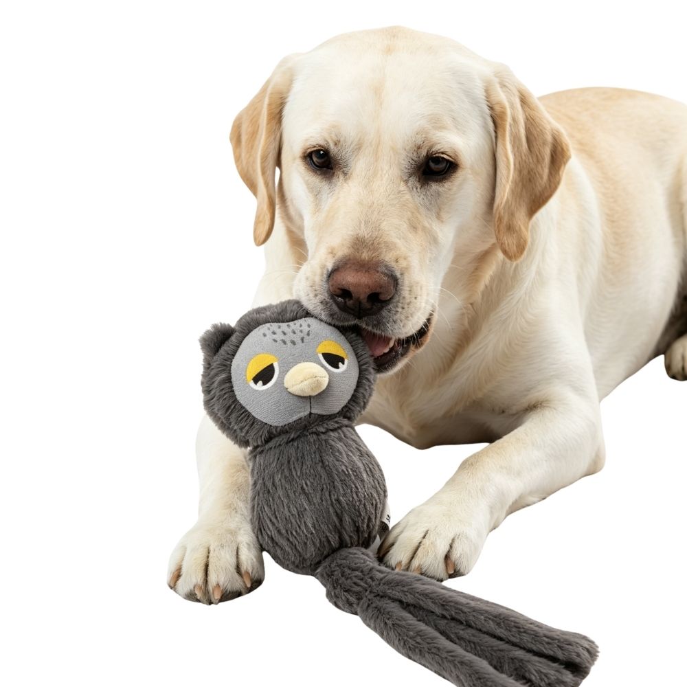 Brinquedo Pelúcia Animais de Corda Coruja - FOFOS