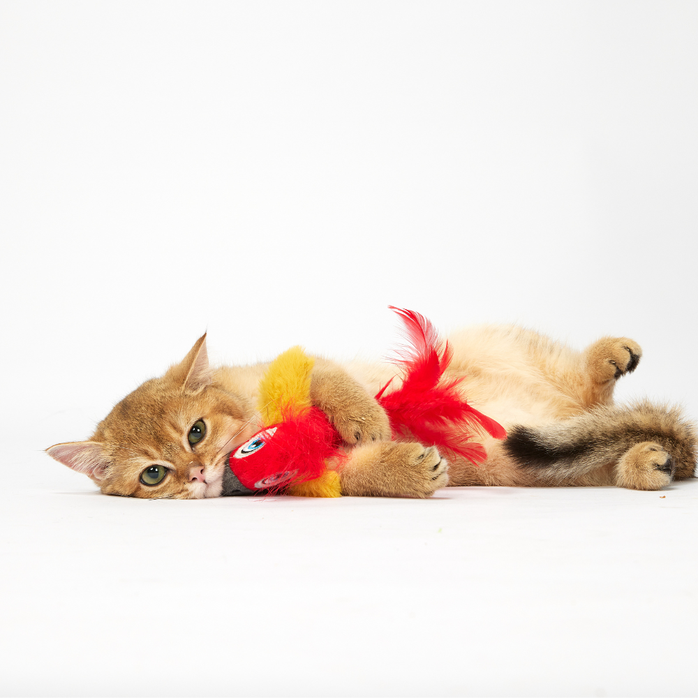 Brinquedo Pelúcia Passarinho com Bolas de Catnip - Vermelho - FOFOS
