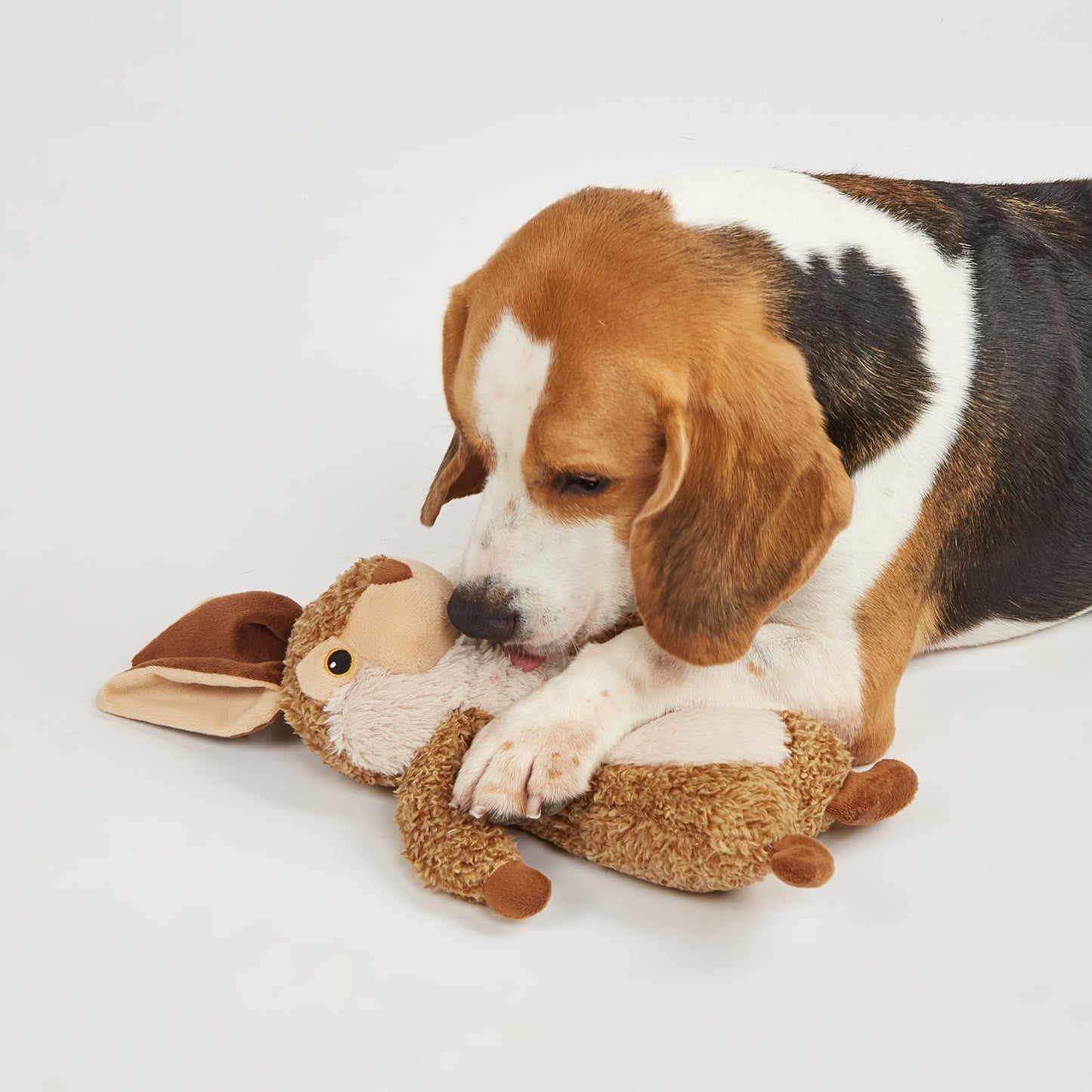 FOFOS Brinquedos para Cães - Reino Selvagem - Lebre