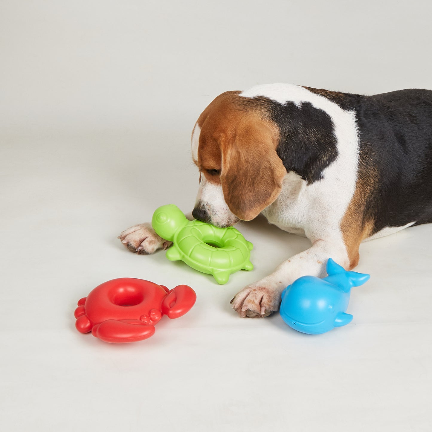 FOFOS Brinquedos para Cães - Alegre Piscina - Baleia