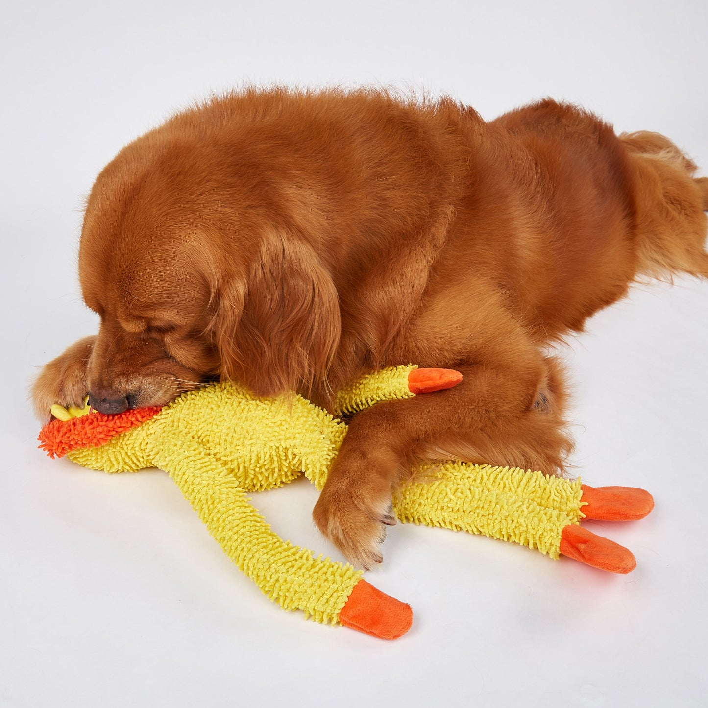 FOFOS Brinquedos para Cães - Tough Corpo Longo - Leão