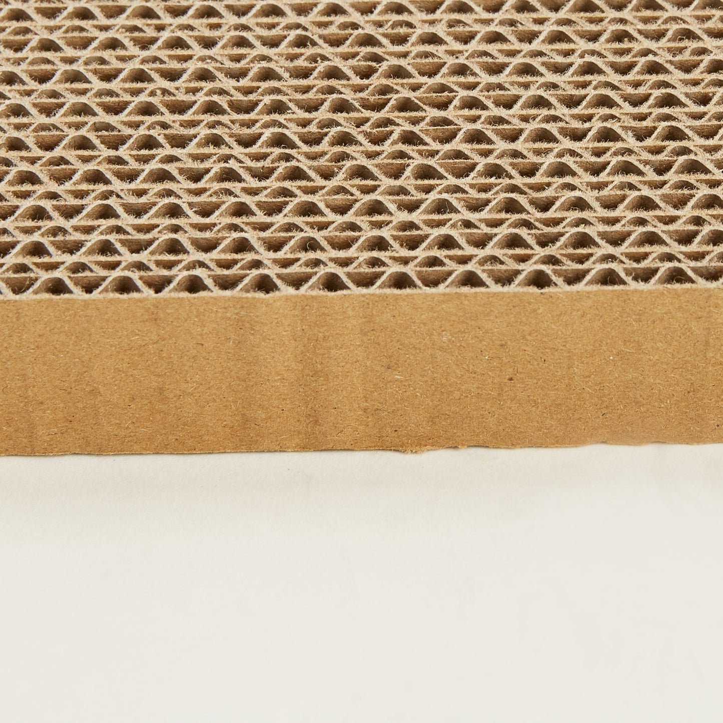 FOFOS Brinquedos para Gatos - Arranador Lata de Sardinha