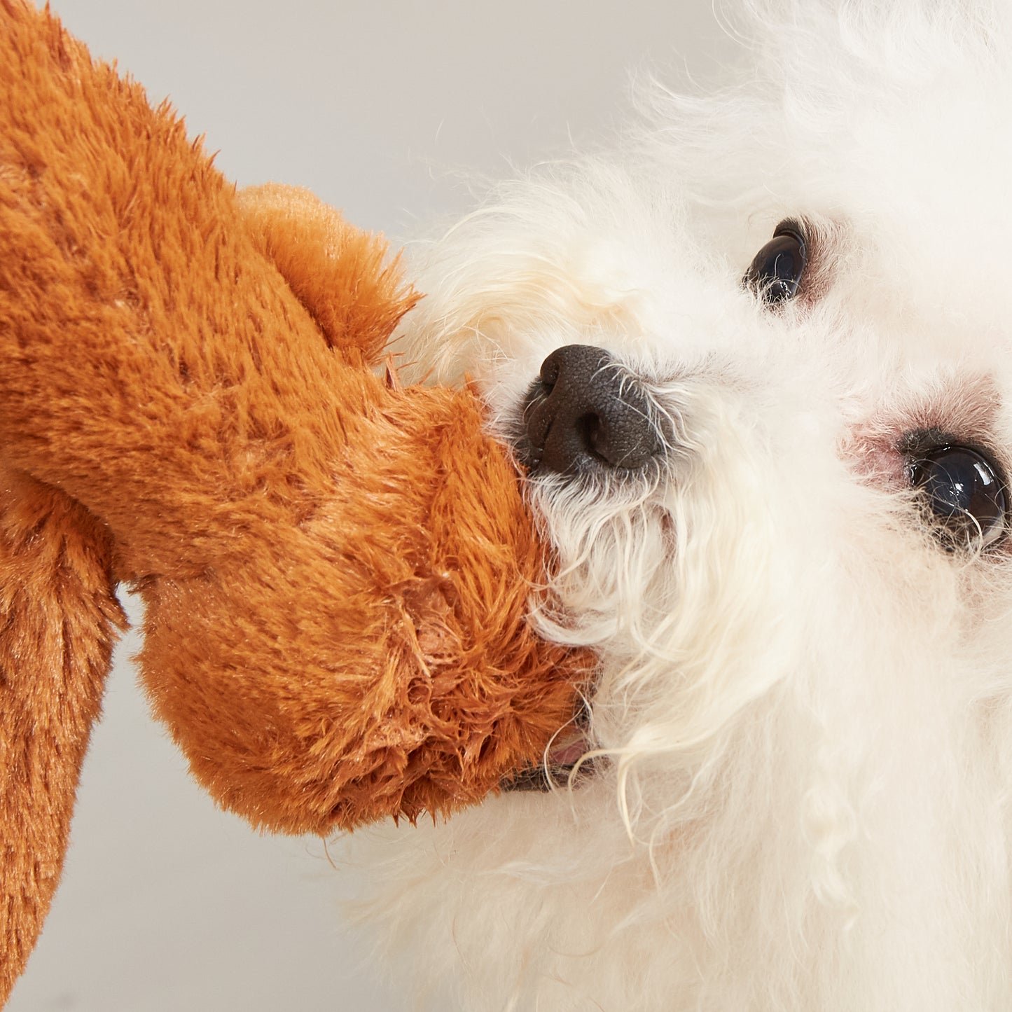 FOFOS Brinquedos para Cães - Bons Amigos - Girafa&Elefante