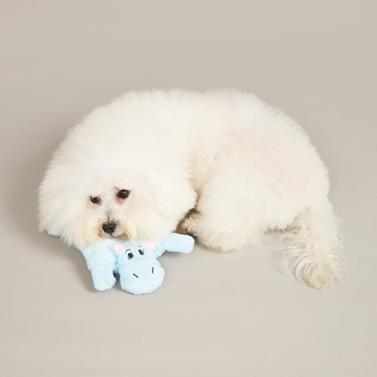 FOFOS Brinquedos para Cães - Quadradinho - Hipopótamo