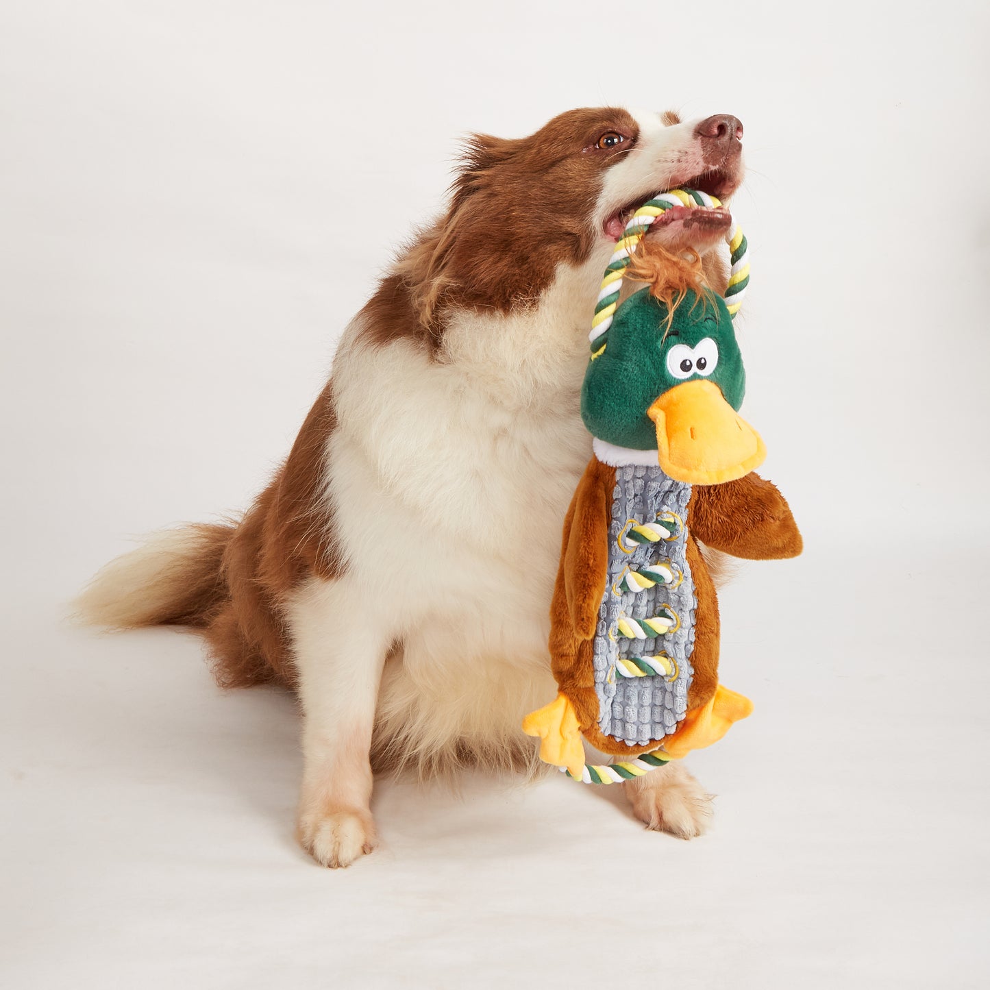 FOFOS Brinquedos para Cães - Rope Buddy Pelúcia c Corda - Pato