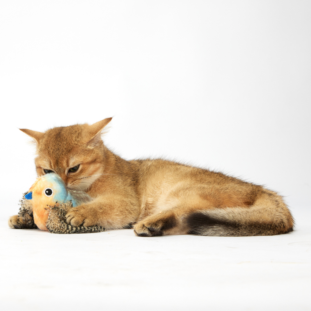 Brinquedo Pelúcia Passarinho com Bolas de Catnip - Cinza - FOFOS