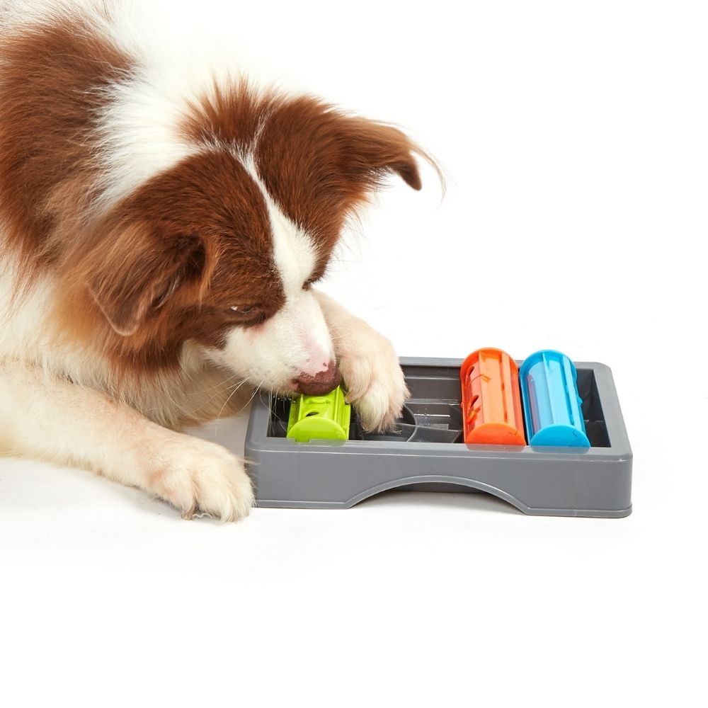 Brinquedo Interativo Puzzle Feeder Porta Petiscos - FOFOS