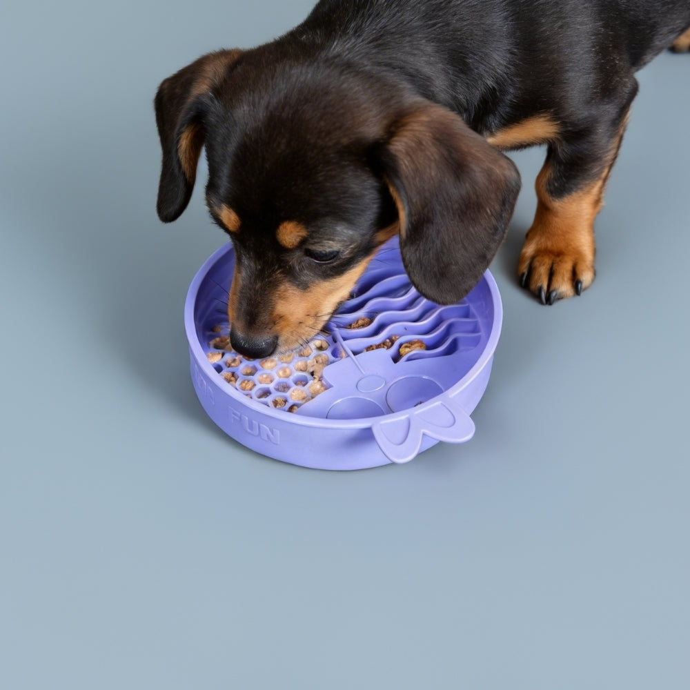 Comedouro Lento de Silicone para Pets Coelho Roxo - QMonster