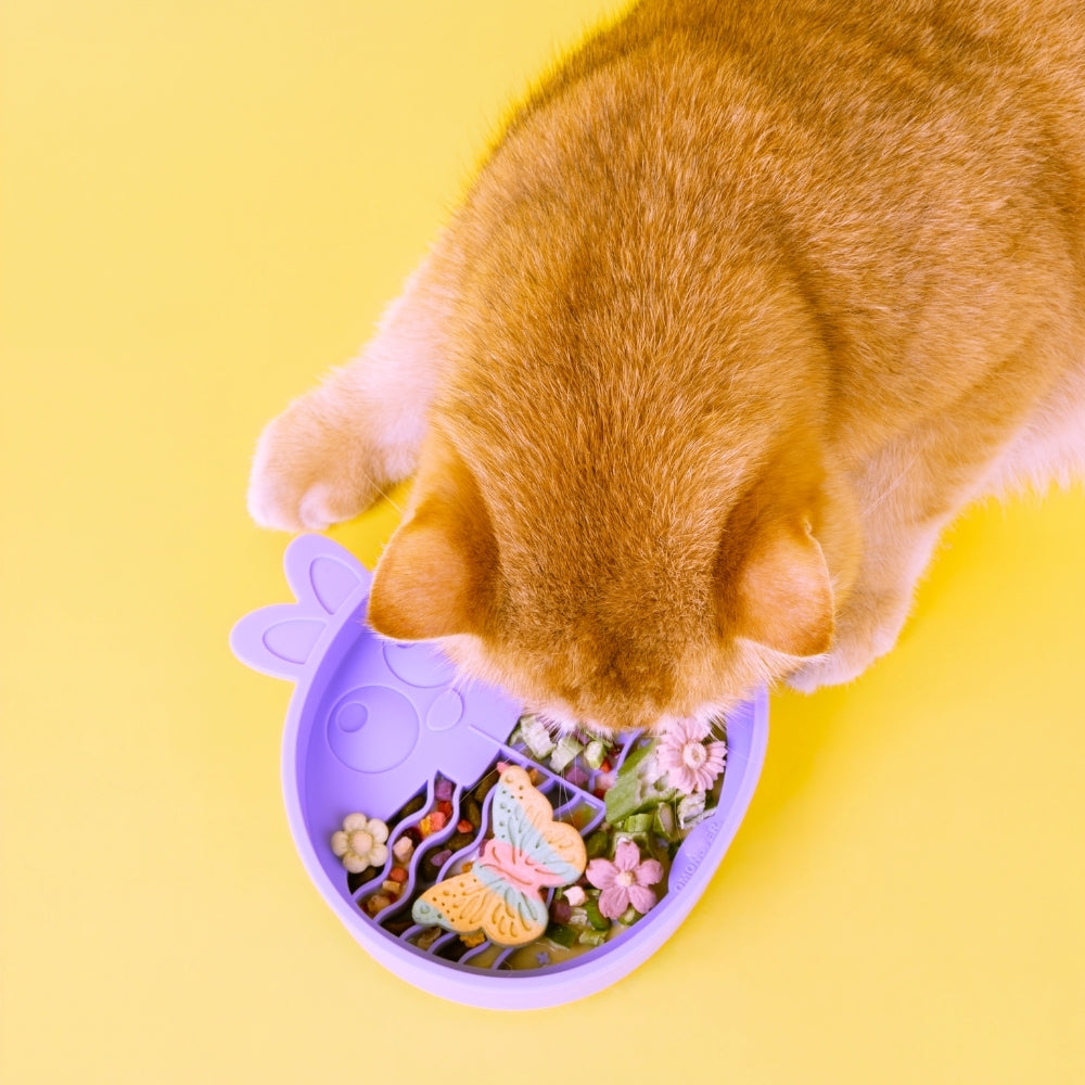 Comedouro Lento de Silicone para Pets Coelho Roxo - QMonster