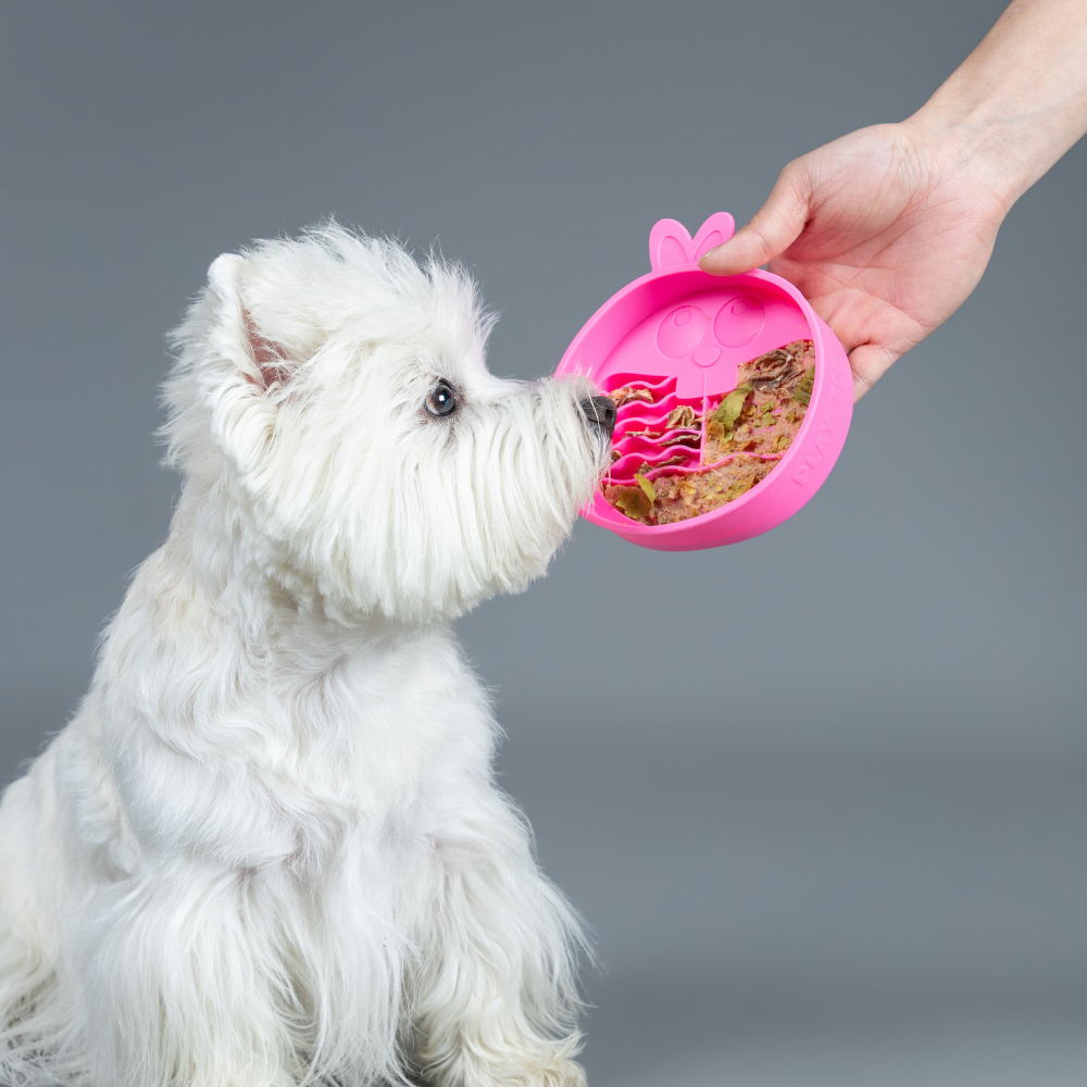 Comedouro Lento de Silicone para Pets Coelho Rosa - QMonster