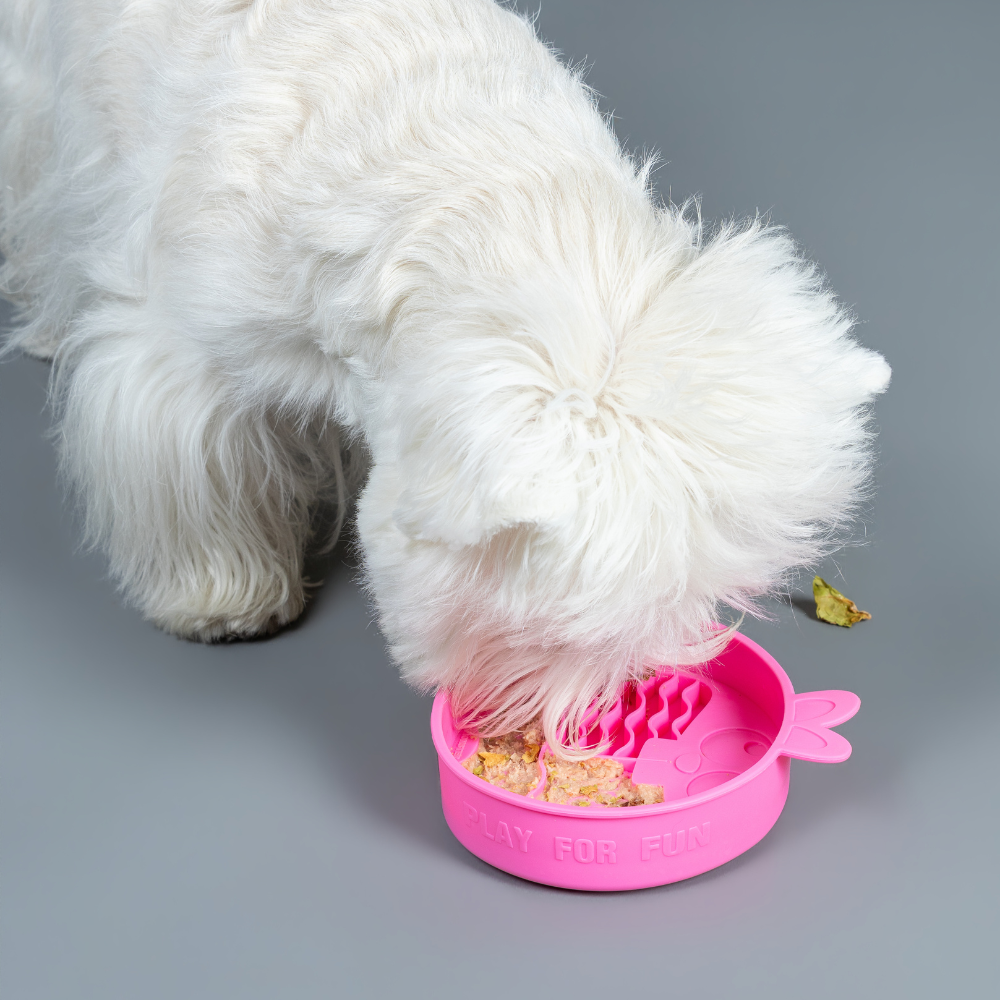 Comedouro Lento de Silicone para Pets Coelho Rosa - QMonster