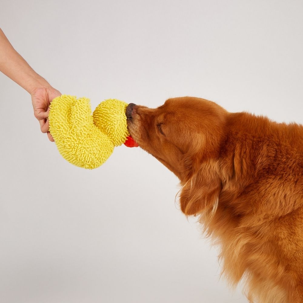 Brinquedo Pelúcia Tough Pato Amarelo Yellow Duck - FOFOS