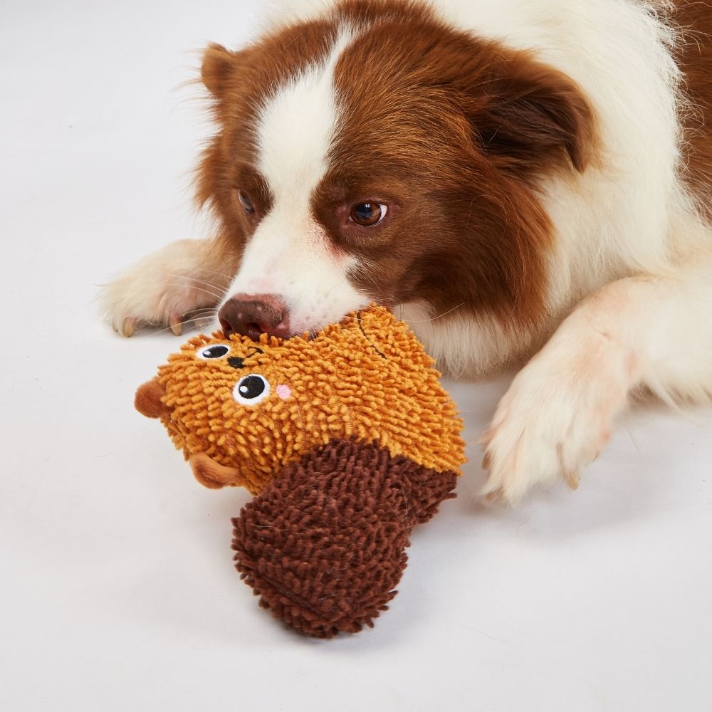 Brinquedos Pelúcia Chenille Tough para Puppies Esquilo - FOFOS